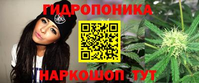2c-b Малгобек