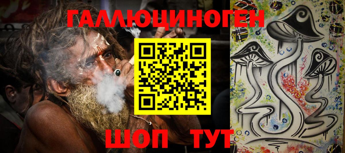 Псилоцибиновые грибы Psilocybine cubensis Гусиноозёрск